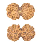 11 MK Gaurishankar 37.8mm 7.79gm - Rudraksha