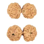11 MK Gaurishankar 42.4mm 9.82gm - Rudraksha