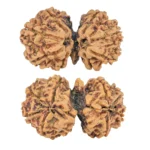 9 Mukhi G.S & Ganesh 31.7mm 5gm - Rudraksha