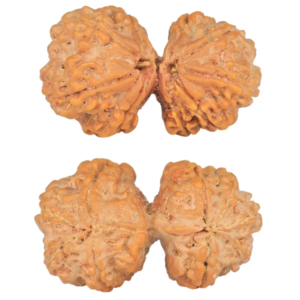 9 MK Gaurishankar 39.7mm 9.51gm - Rudraksha