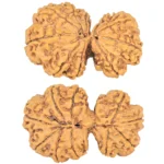 10 Mk Gaurishankar 38.9mm 8.21gm - Rudraksha