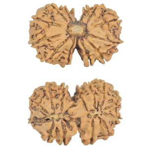 13 MK Gaurishankar 29.7mm 3.92gm - Rudraksha