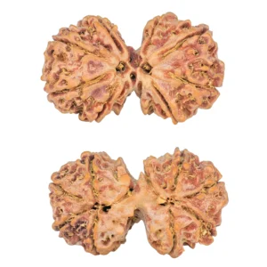 9 MK Gaurishankar 38.6mm 8.59gm - Rudraksha