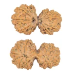 13 MK Gaurishankar 35.2mm 6.2gm - Rudraksha
