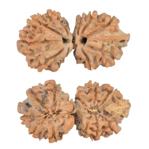 11 Mukhi G.S & Ganesh 32.9mm 4.65gm - Rudraksha