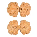 10 Mk Gaurishankar 38.3mm 9.09gm - Rudraksha