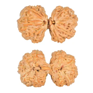 10 Mk Gaurishankar 38.3mm 9.09gm - Rudraksha