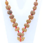 1 to 14 Mukhi Rudraksha Mala ( Siddha Mala ) - Certificate: DCL/2026/B/0049 - Rudraksha Zoom Image