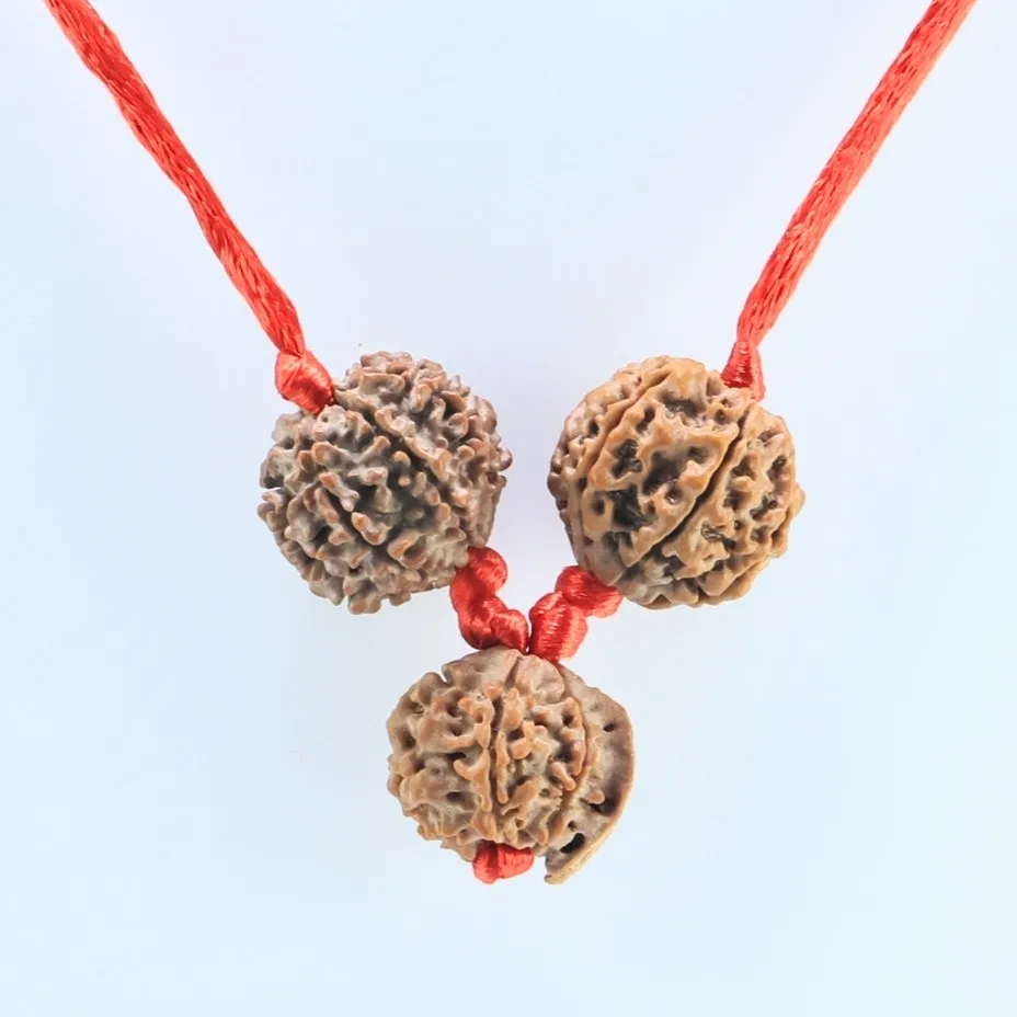 Student Kawach - Rudraksha Zoom Image