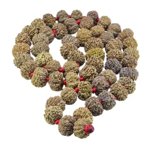 10 Mukhi Nepali Kantha - Rudraksha Zoom Image