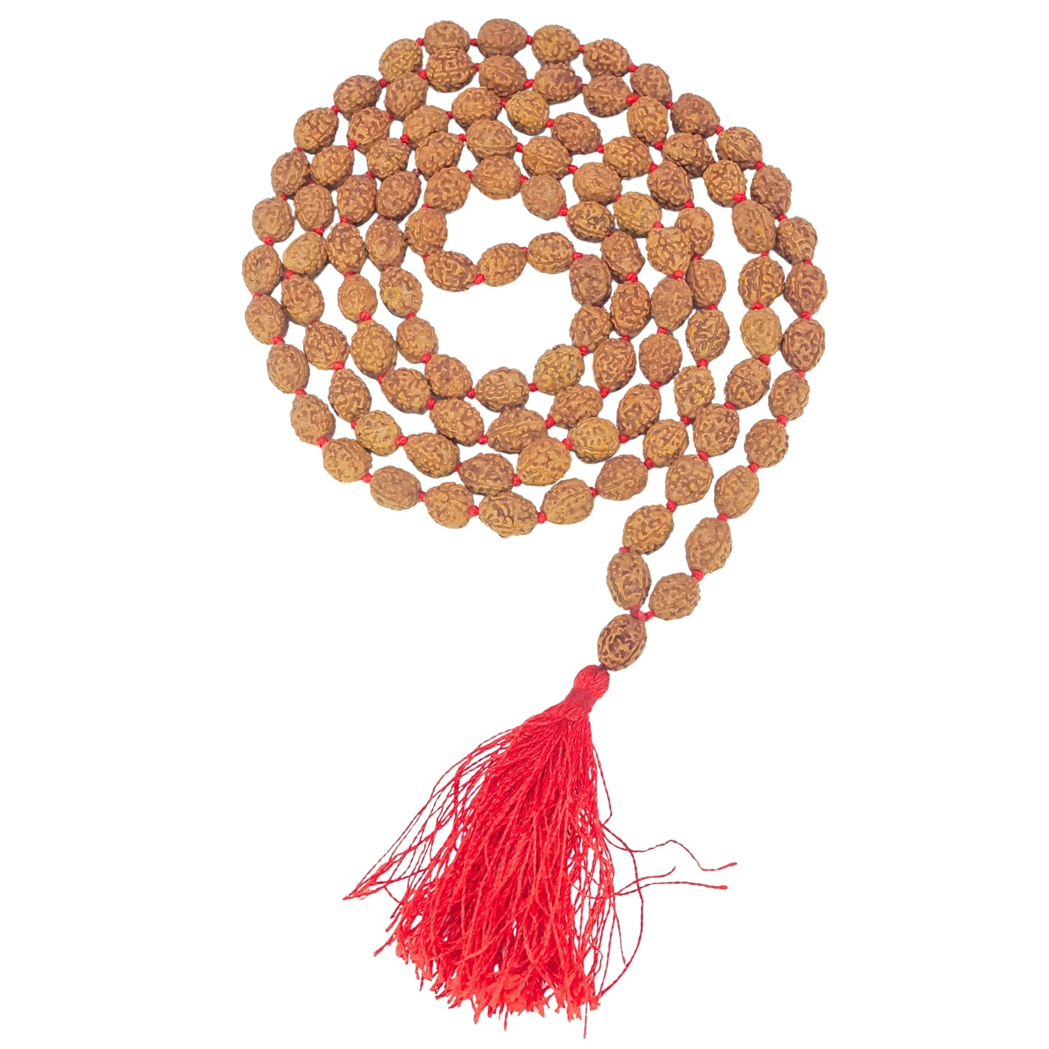 4 Mukhi Indonesian Mala - Certificate: DCL/2026/B/0037 - Rudraksha Zoom Image