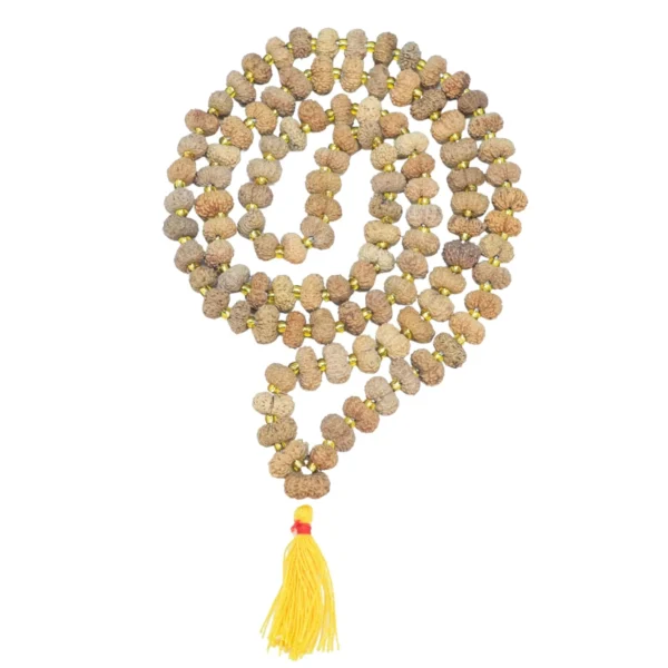14 Mukhi Indonesian Mala - Rudraksha Zoom Image