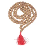 2 Mukhi Indonesian Mala - Rudraksha Zoom Image