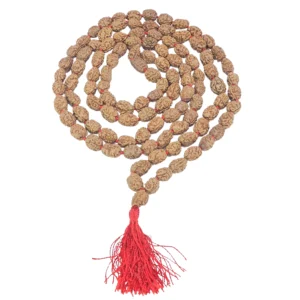 2 Mukhi Indonesian Mala - Rudraksha Zoom Image