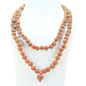 5 Mukhi Nepali Kantha - Certificate: DCL/2026/B/0053 - Rudraksha Zoom Image