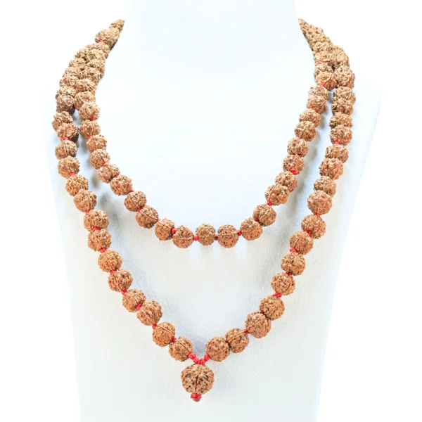 5 Mukhi Nepali Kantha - Certificate: DCL/2026/B/0053 - Rudraksha Zoom Image