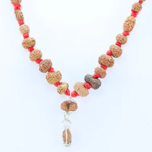 1 to 14 Mukhi Rudraksha Mala ( Siddha Mala ) - Certificate: DCL/2026/B/0048 - Rudraksha Zoom Image