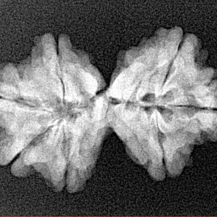 7 MK Gaurishankar 26.5mm 3gm - Xray