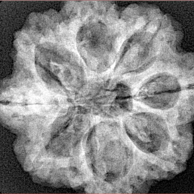 8 Mukhi Ganesh 27.2mm 6.17gm - Xray