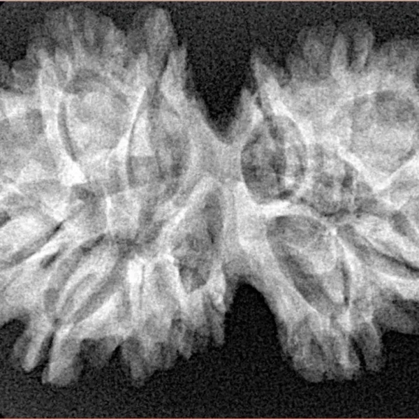 13 MK Gaurishankar 35.6mm 5.58gm - Xray