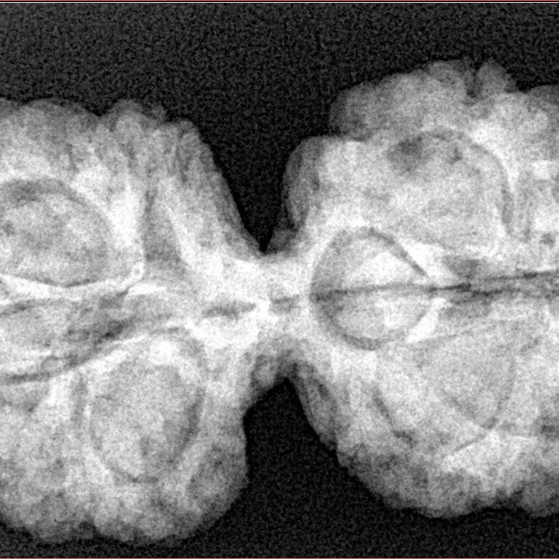 10 Mk Gaurishankar 36.9mm 7.4gm - Xray
