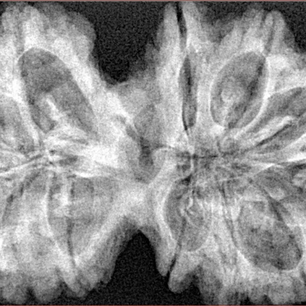 12 MK Gaurishankar 39.7mm 8.1gm - Xray