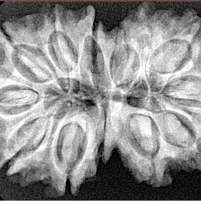 13 MK Gaurishankar 34.7mm 6.2gm - Xray