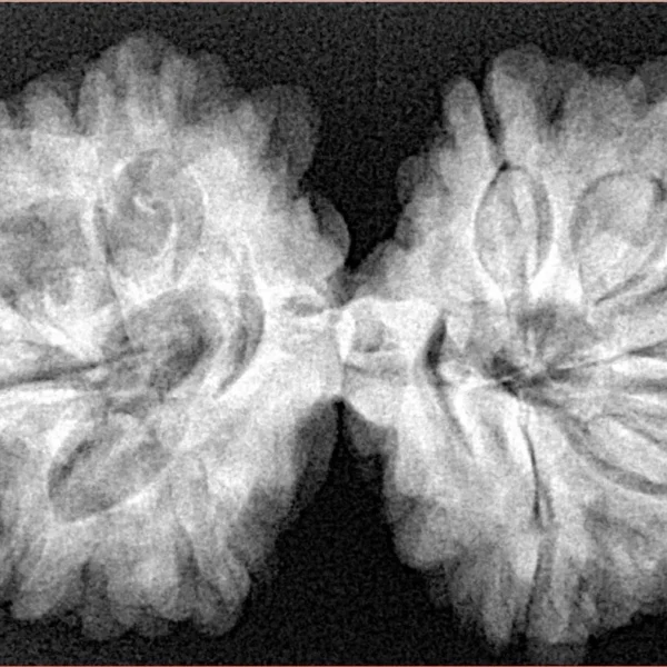 10 Mk Gaurishankar 37.1mm 7.33gm - Xray