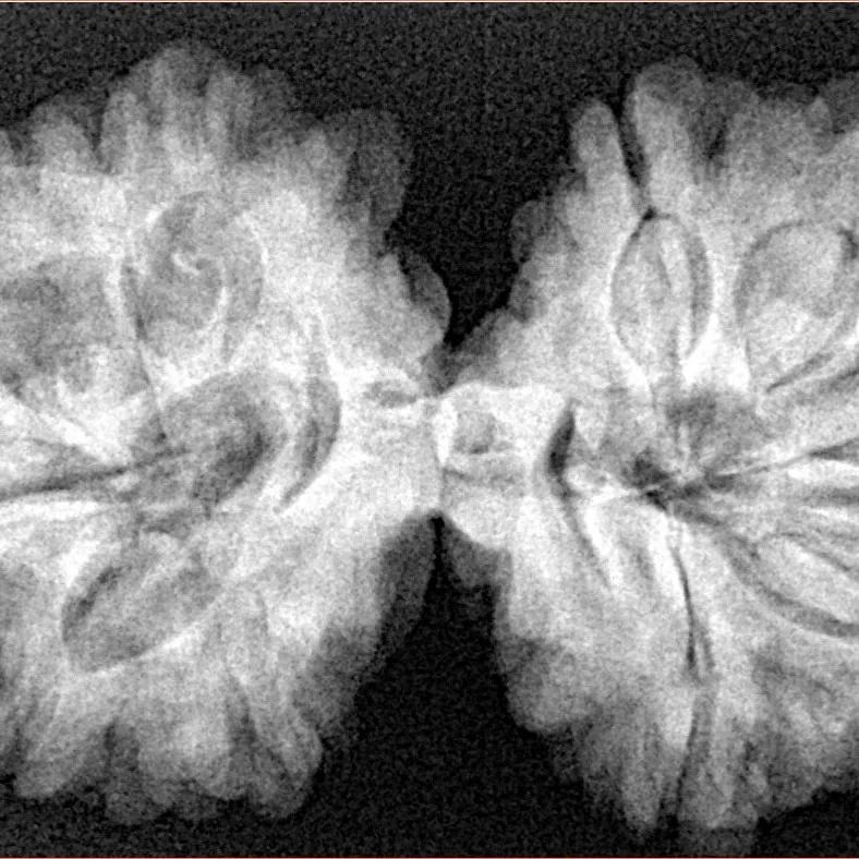 10 Mk Gaurishankar 37.1mm 7.33gm - Xray