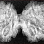 10 Mk Gaurishankar 40.6mm 8.6gm - Xray