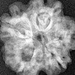 1MK(Underdeveloped) 22.1mm 3.53gm - Xray
