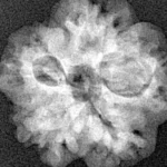 1MK(Underdeveloped) 21.2mm 3.05gm - Xray