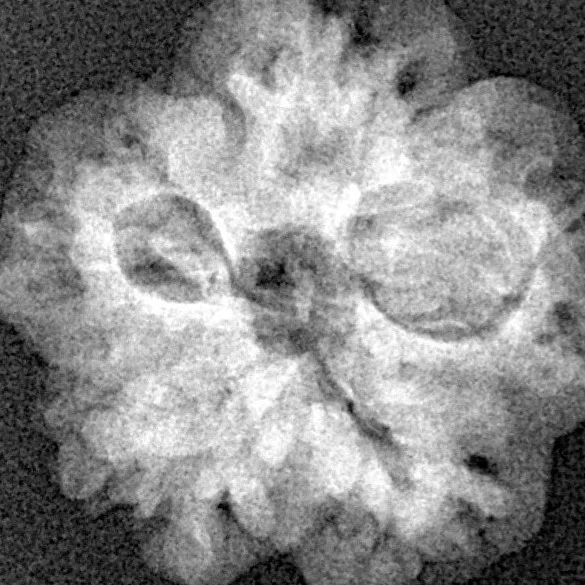 1MK(Underdeveloped) 21.2mm 3.05gm - Xray