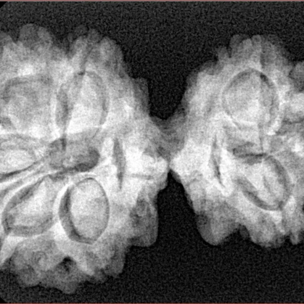 8 MK Gaurishankar 34.2mm 5.76gm - Xray
