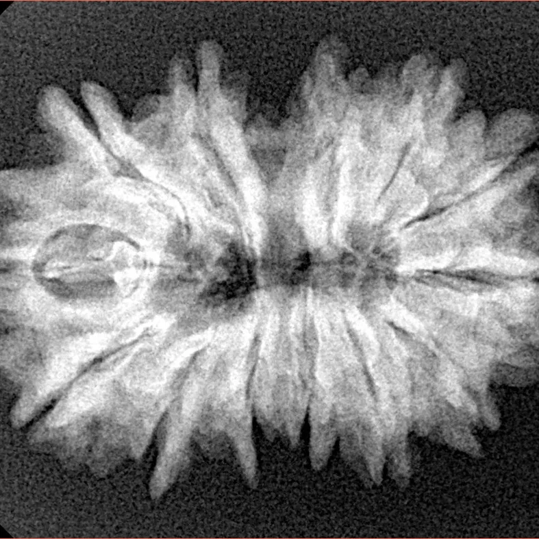 13 MK Gaurishankar 29.1mm 4.59gm - Xray