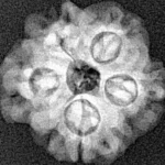 1MK(Underdeveloped) 19.6mm 2.67gm - Xray