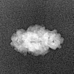 2 Mukhi Trijuti 12.8mm 0.5gm - Xray