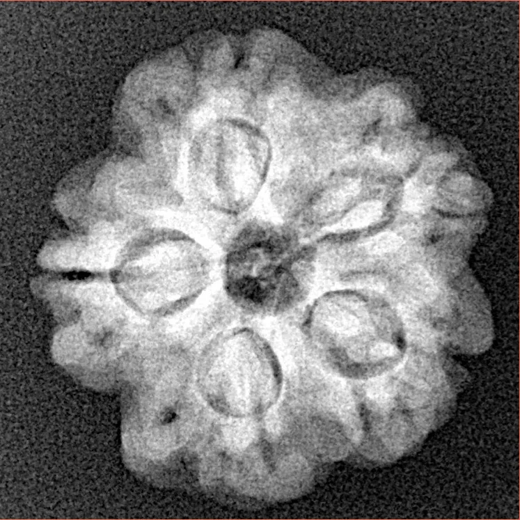 1MK(Underdeveloped) 22.3mm 3.67gm - Xray