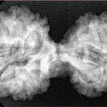 12 MK Gaurishankar 37.8mm 7.21gm - Xray