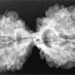 11 MK Gaurishankar 39.3mm 7.28gm - Xray