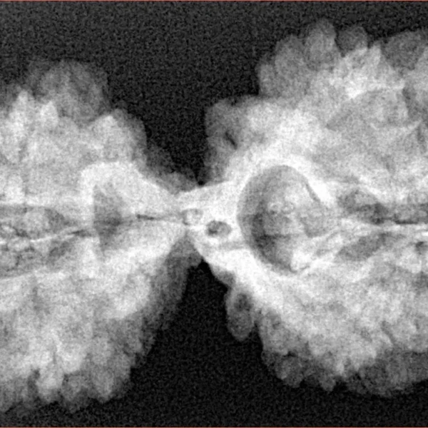 11 MK Gaurishankar 39.3mm 7.28gm - Xray