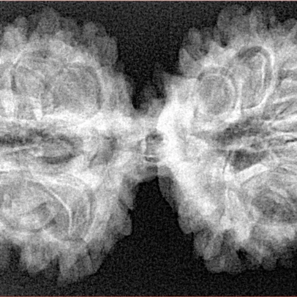 13 MK Gaurishankar 39.2mm 6.5gm - Xray