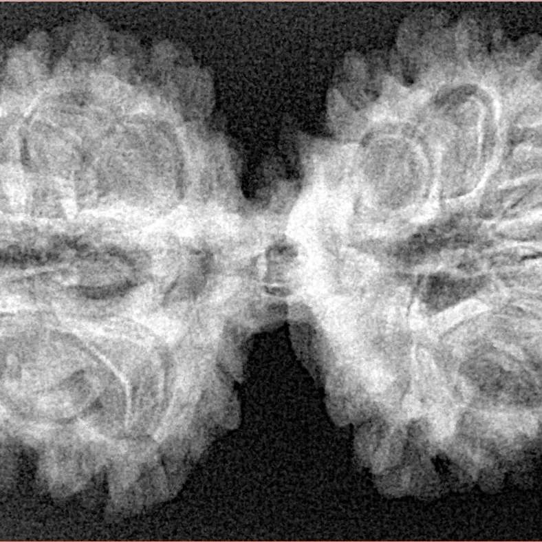 13 MK Gaurishankar 39.2mm 6.5gm - Xray