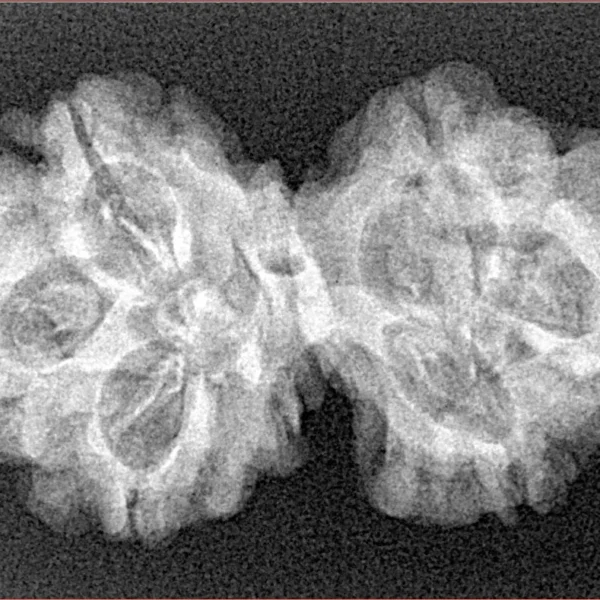 6 Mk Gaurishankar 32.3mm 4gm - Xray