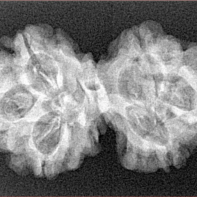 6 Mk Gaurishankar 32.3mm 4gm - Xray