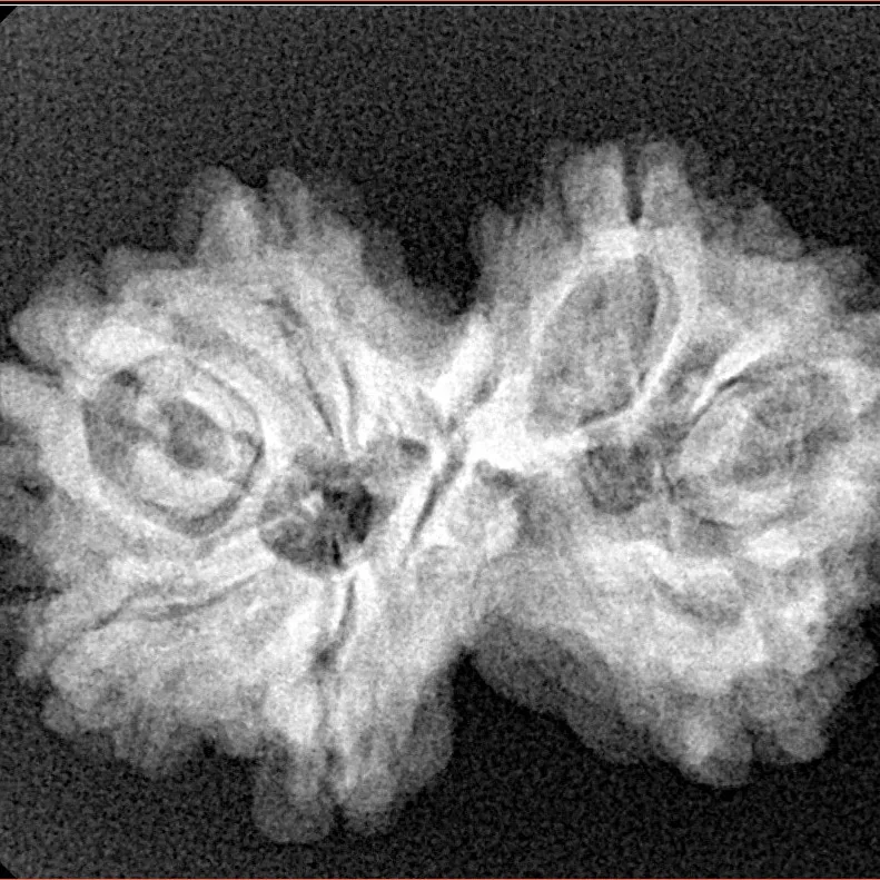7 MK Gaurishankar 27.9mm 4.17gm - Xray
