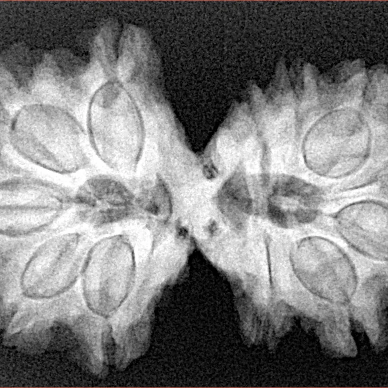 12 MK Gaurishankar 34.2mm 6.31gm - Xray