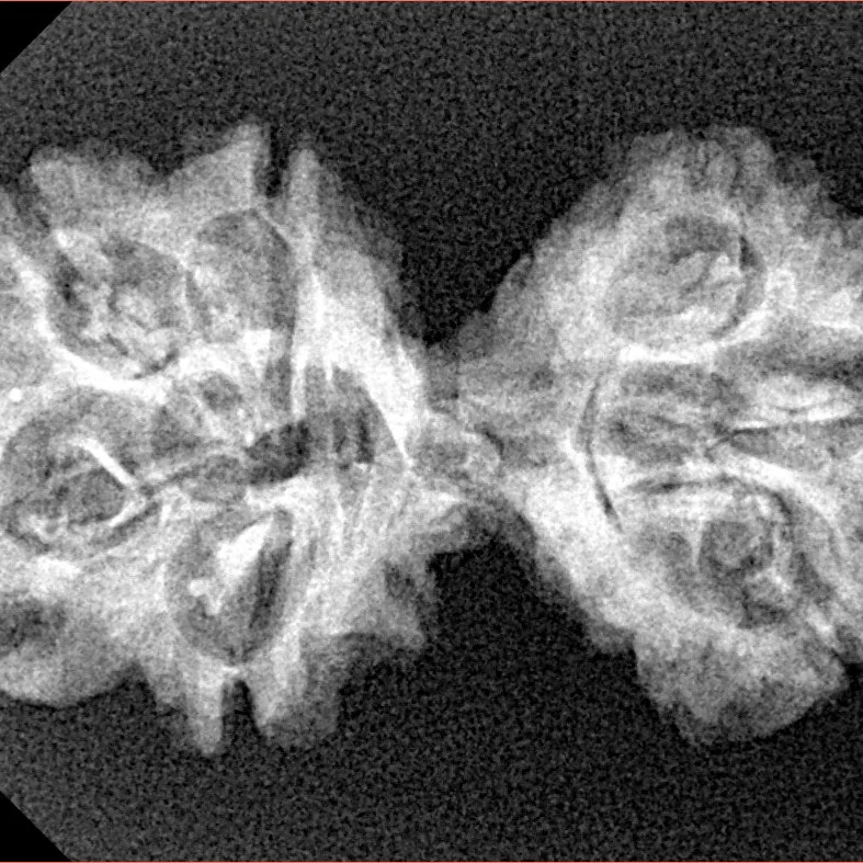 7 MK Gaurishankar 33mm 3.54gm - Xray