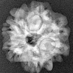1MK(Underdeveloped) 22.1mm 3.31gm - Origin: Nepal - Xray