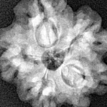 1MK(Underdeveloped) 22mm 3.33gm - Xray